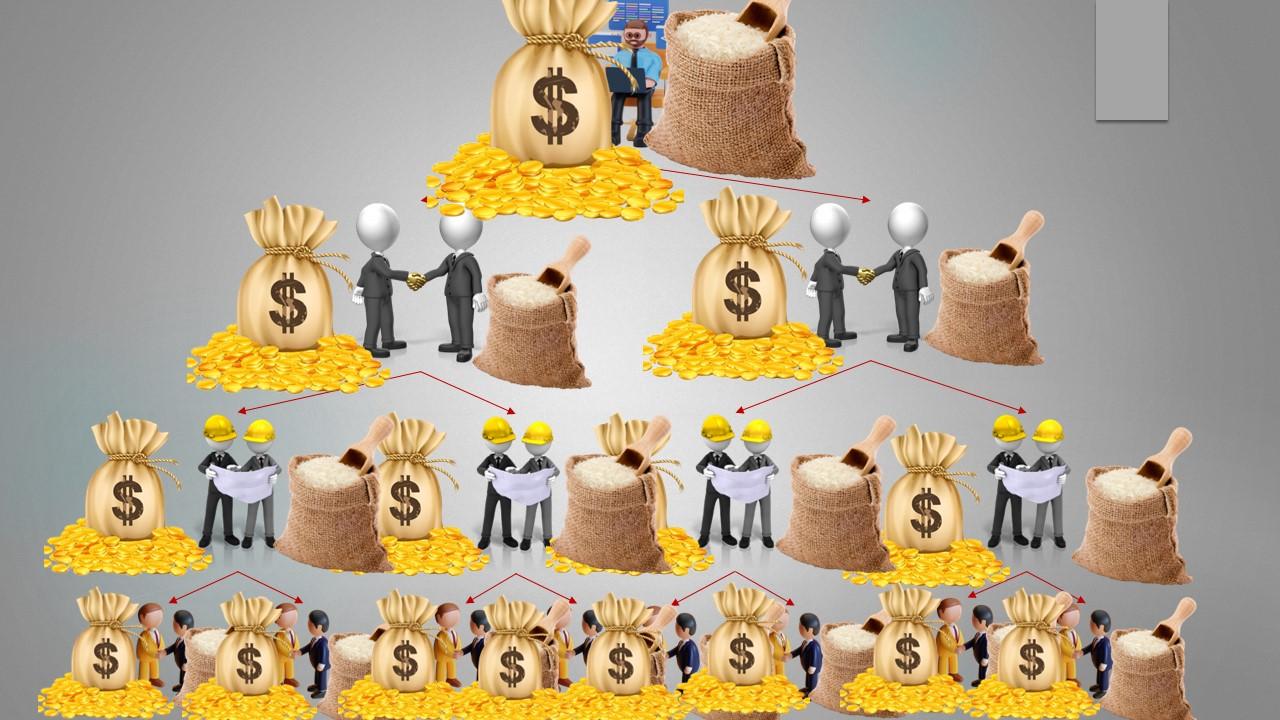 کسب درامد از بازاریابی برنج شالی گستر