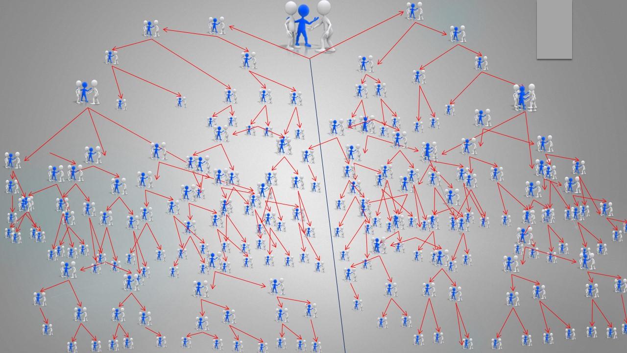 بازاریابی شبکه ای برنج شالی گستر