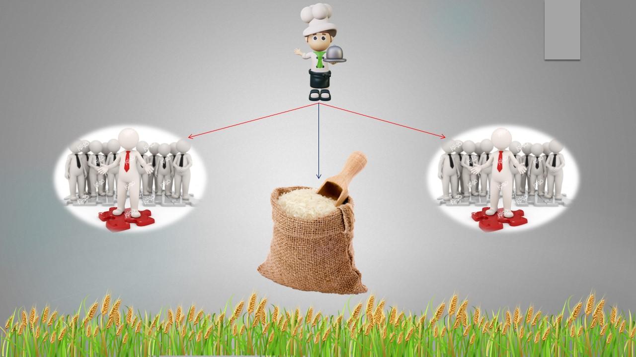 بازاریابی برنج ایرانی با شالی گستر 