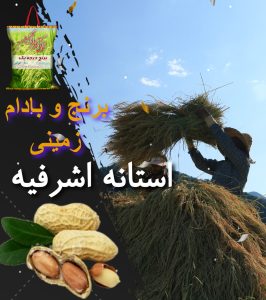 سوغات گیلان استانه اشرفیه