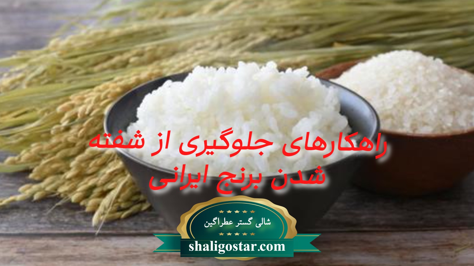 راهکارهای جلوگیری از شفته شدن برنج ایرانی