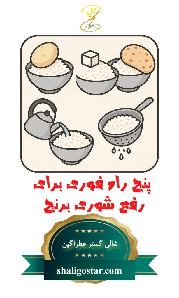 5 راه فوری برای رفع شوری برنج | سریع و مطمعن ترین راه