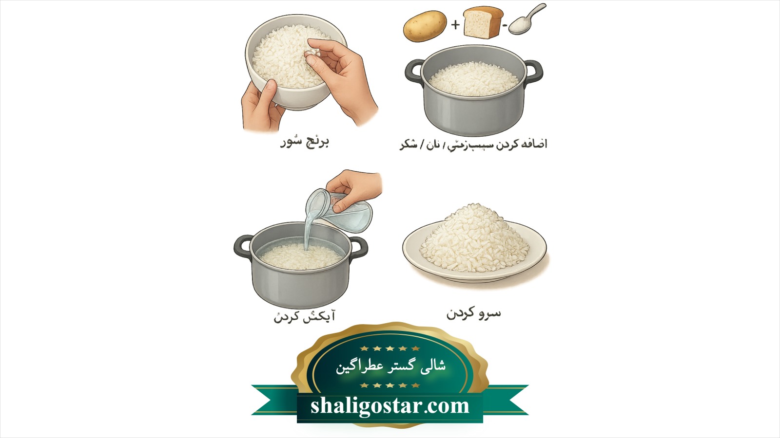 بهترین روش رفع شوری برنج 