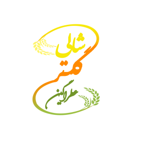 لوگو
