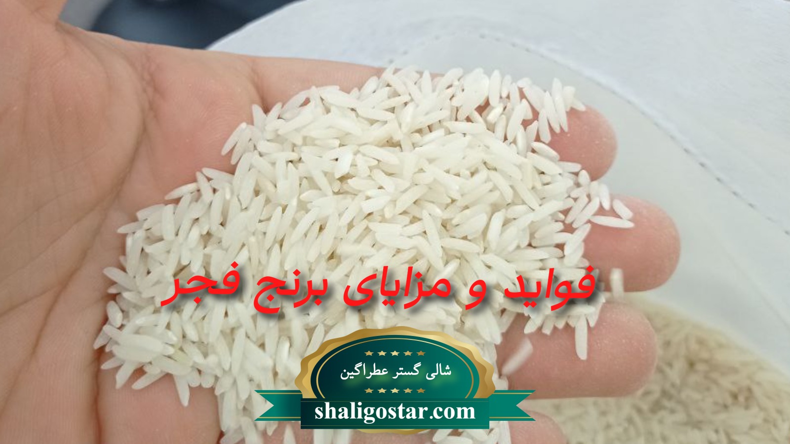 فواید و مزایای برنج فجر