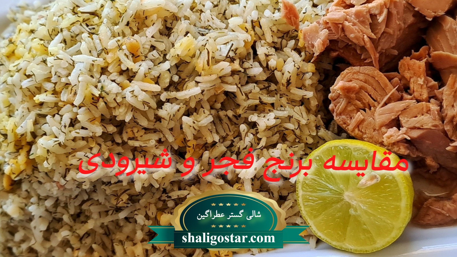 تفاوت برنج فجر و شیرودی 5 مقایسه برنج فجر و شیرودی