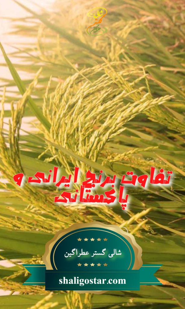 تفاوت برنج ایرانی و پاکستانی