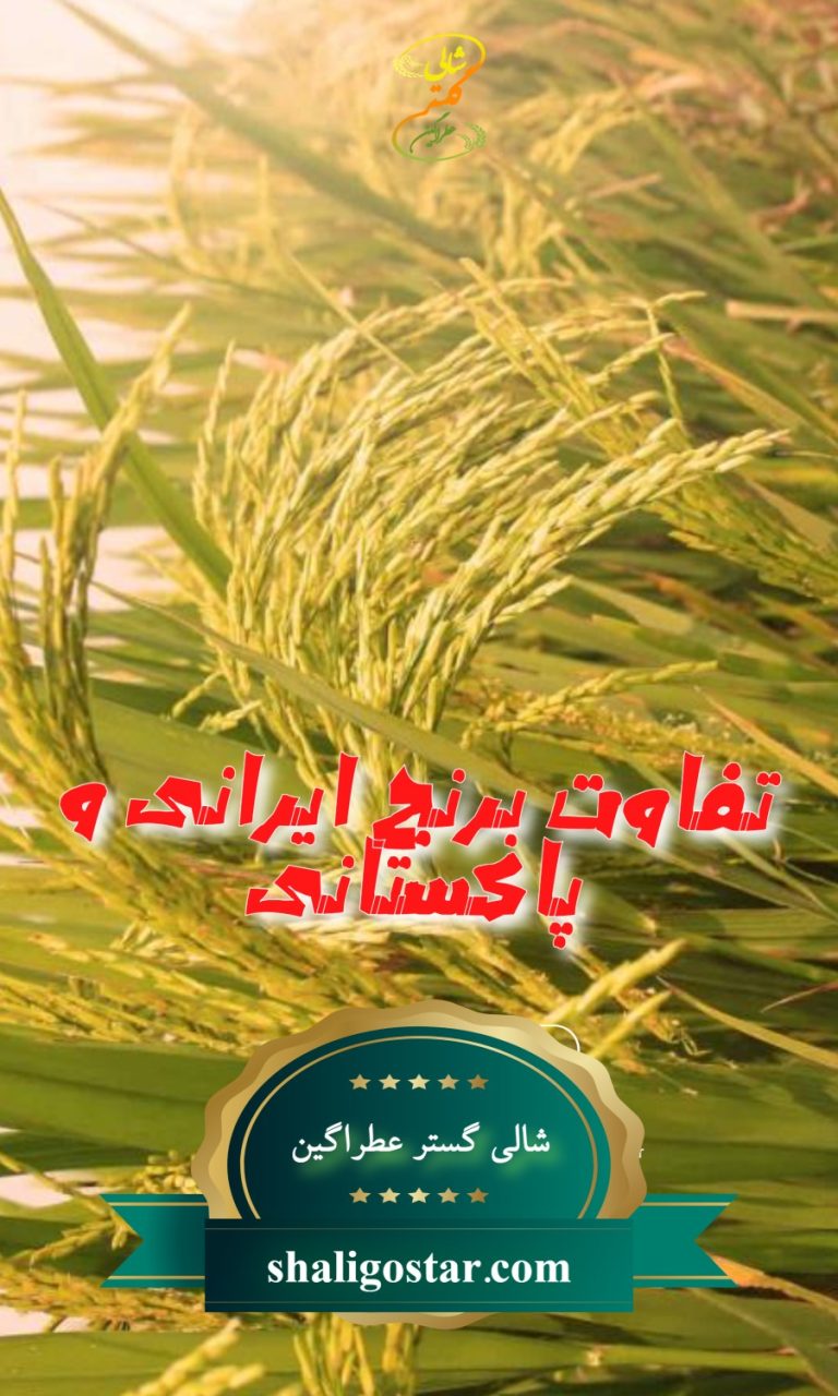 تفاوت برنج ایرانی و پاکستانی