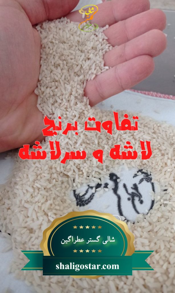 تفاوت لاشه و سرلاشه برنج چیست؟
