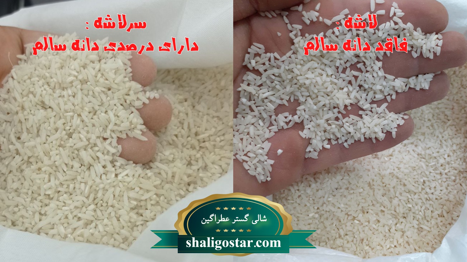 تفاوت برنج لاشه و سرلاشه 