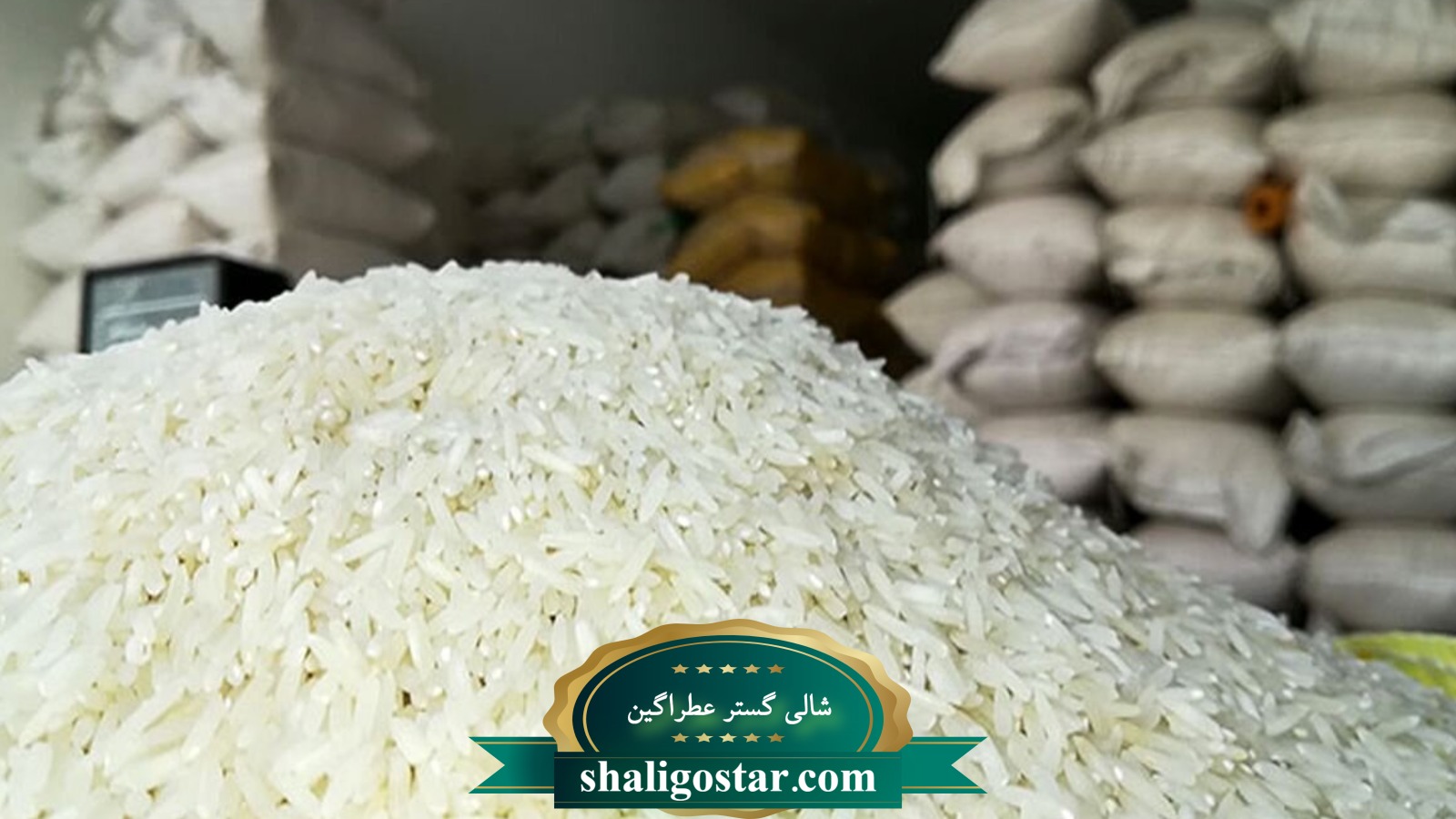 برنج تراریخته 