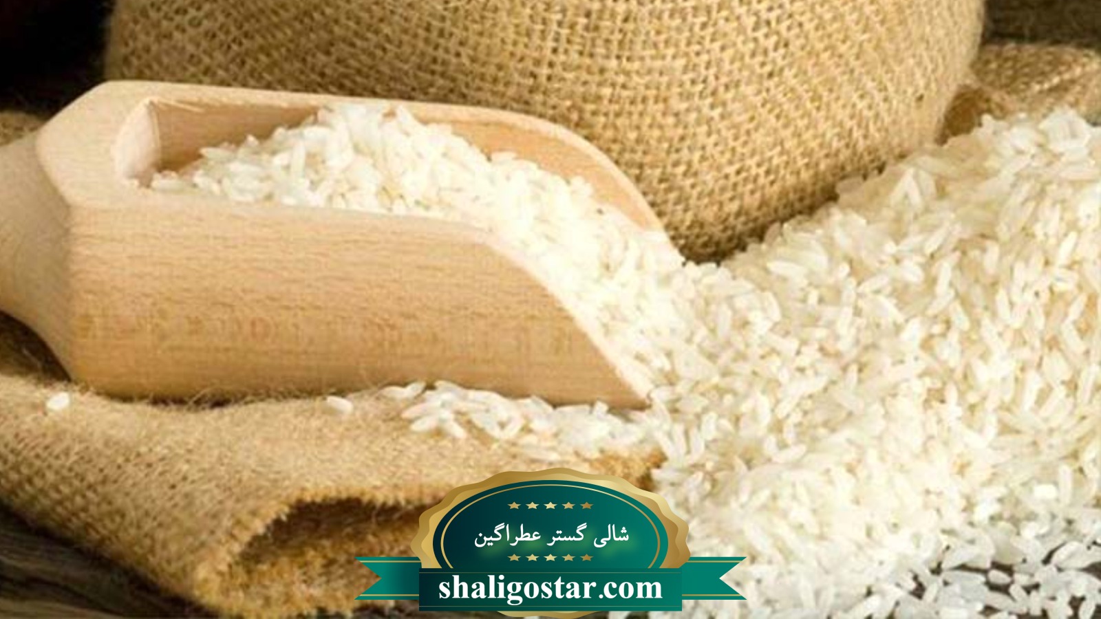 برنج تراریخته