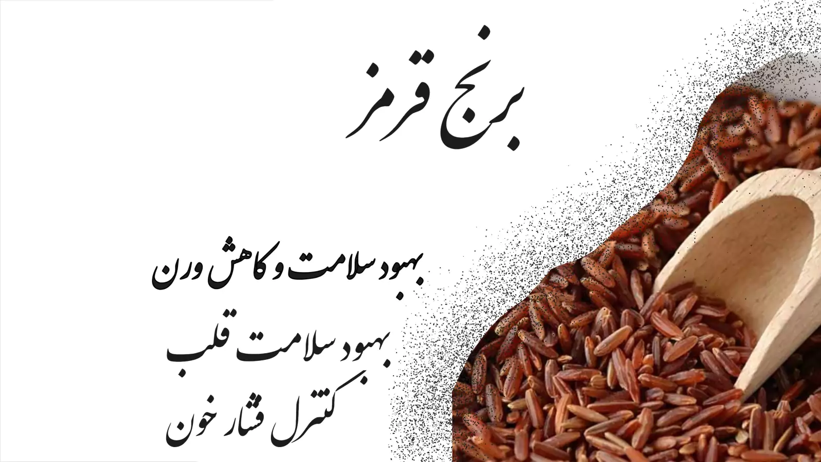 برنج قرمز چیست؟ و چرا قهرمان جدید سفره هاست؟ 2 برنج قرمز