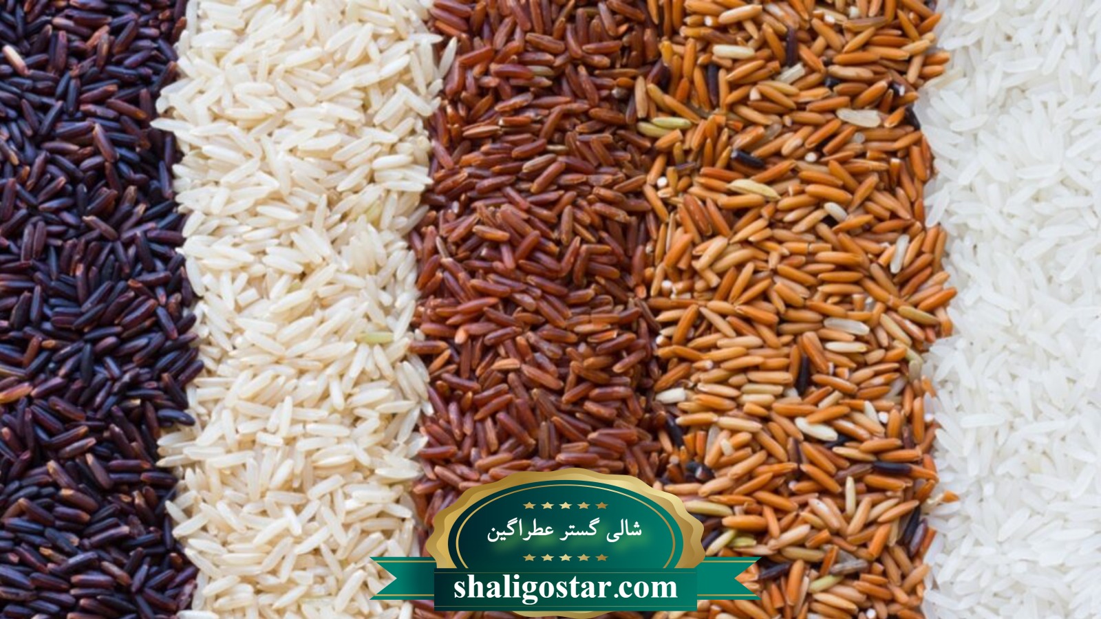 راهنمای تخصصی برنج رژیمی