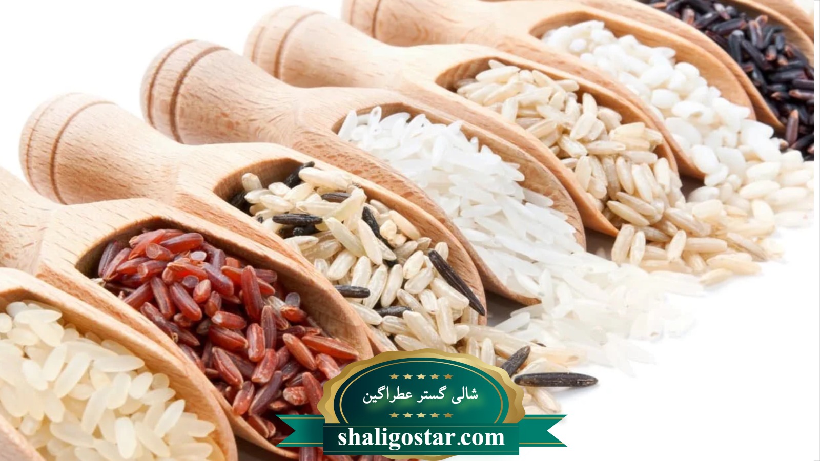 مزایا و معایب برنج شیرودی