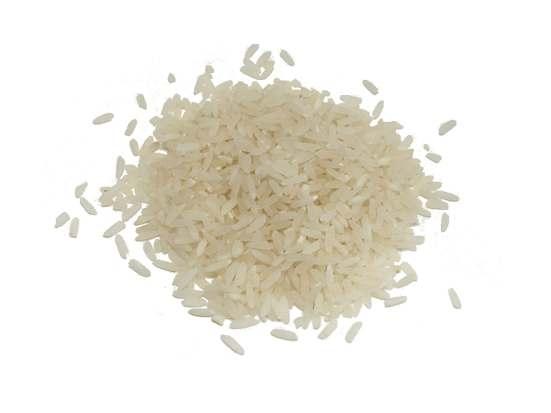 ricepng.parspng.com 5