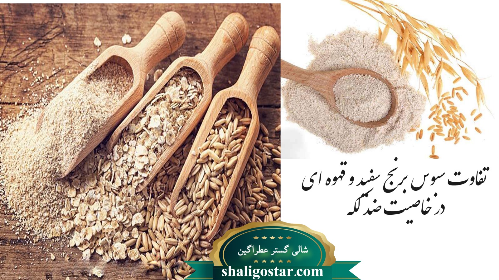 یلدا 101