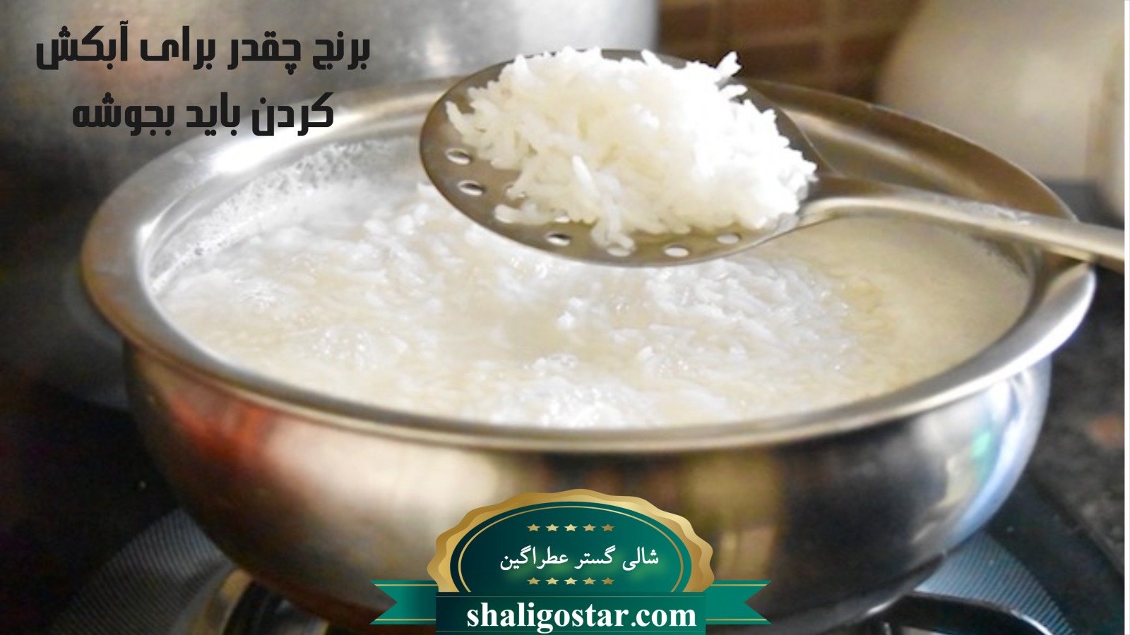 یلدا 71