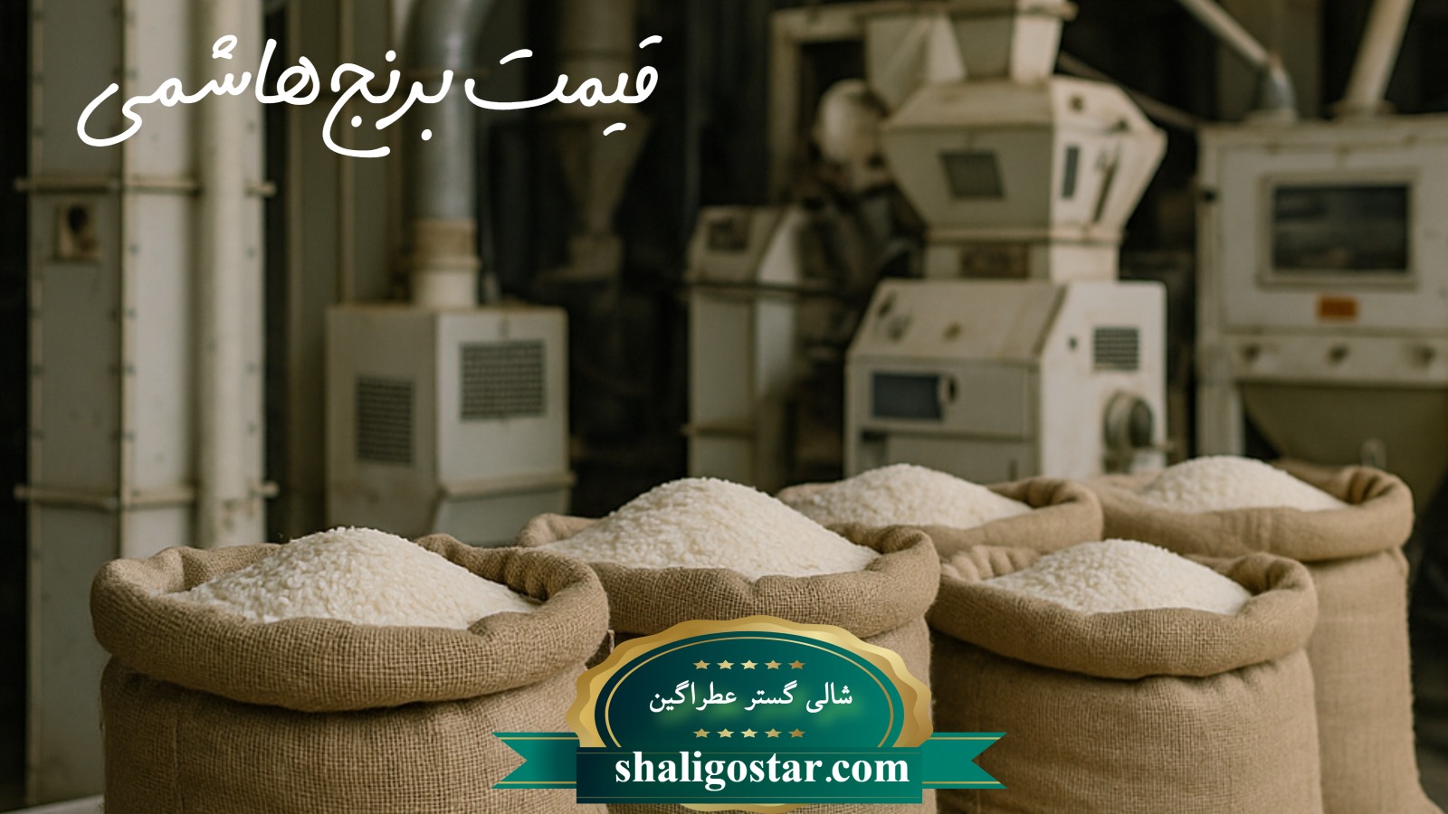  قیمت برنج هاشمی