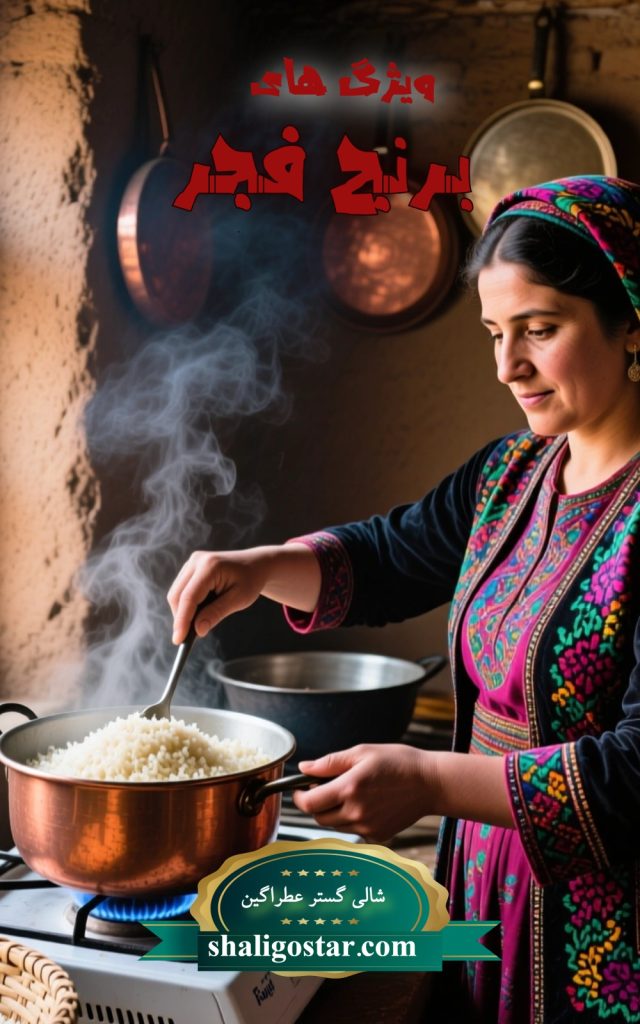 برنج فجر و ویژ گی های ان