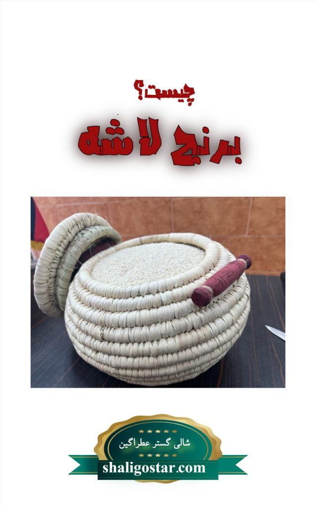 مقاله تخصصی برنج لاشه