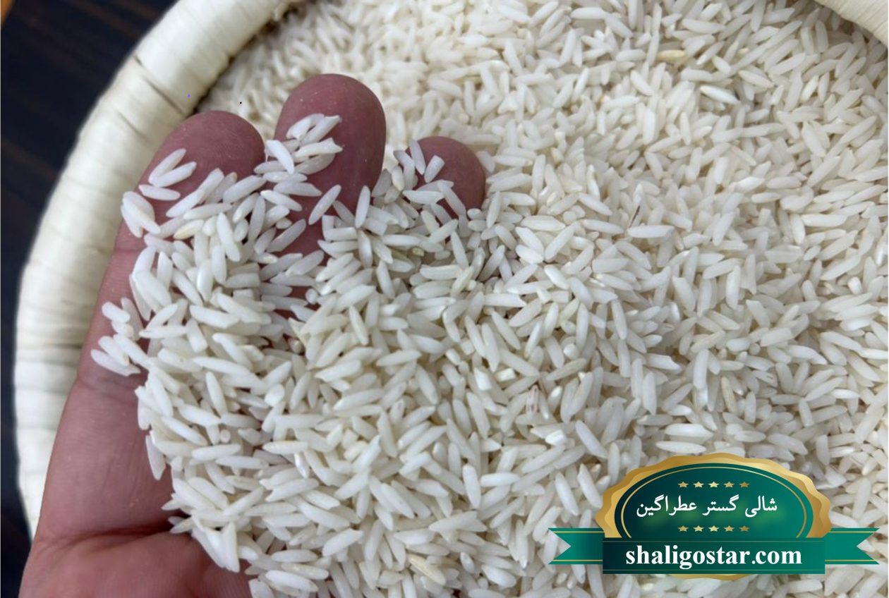 تفاوت برنج طارم با برنج دم سیاه