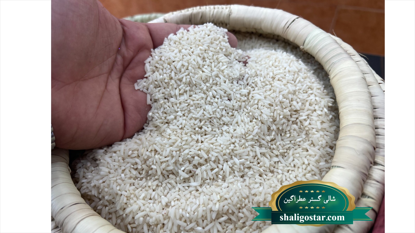 برنج لاشه چیست