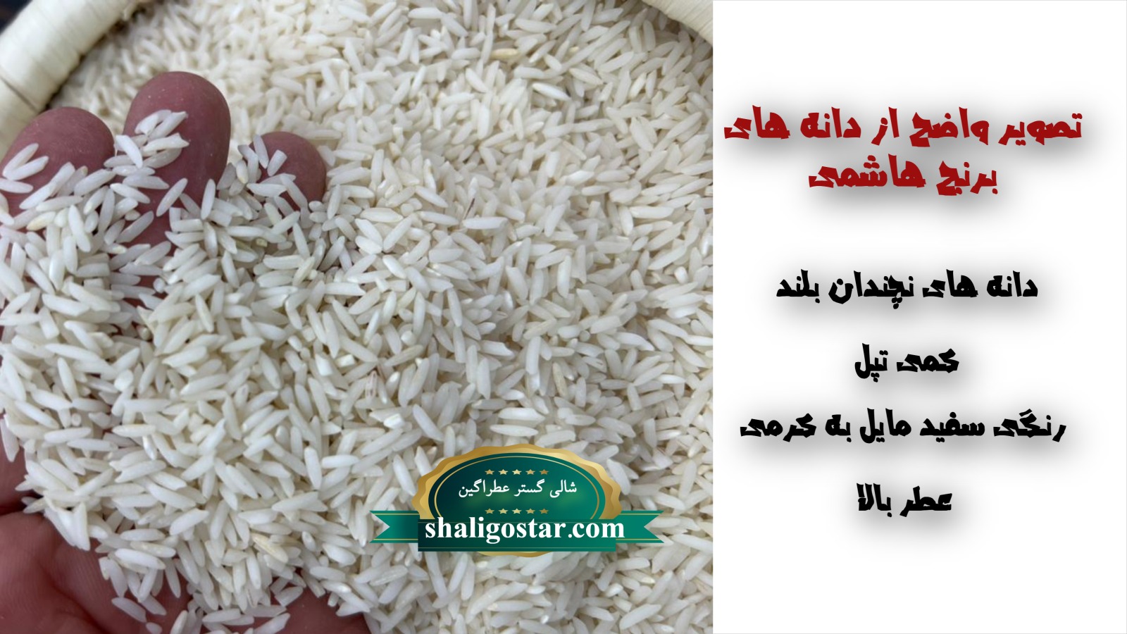 تشخیص برنج هاشمی