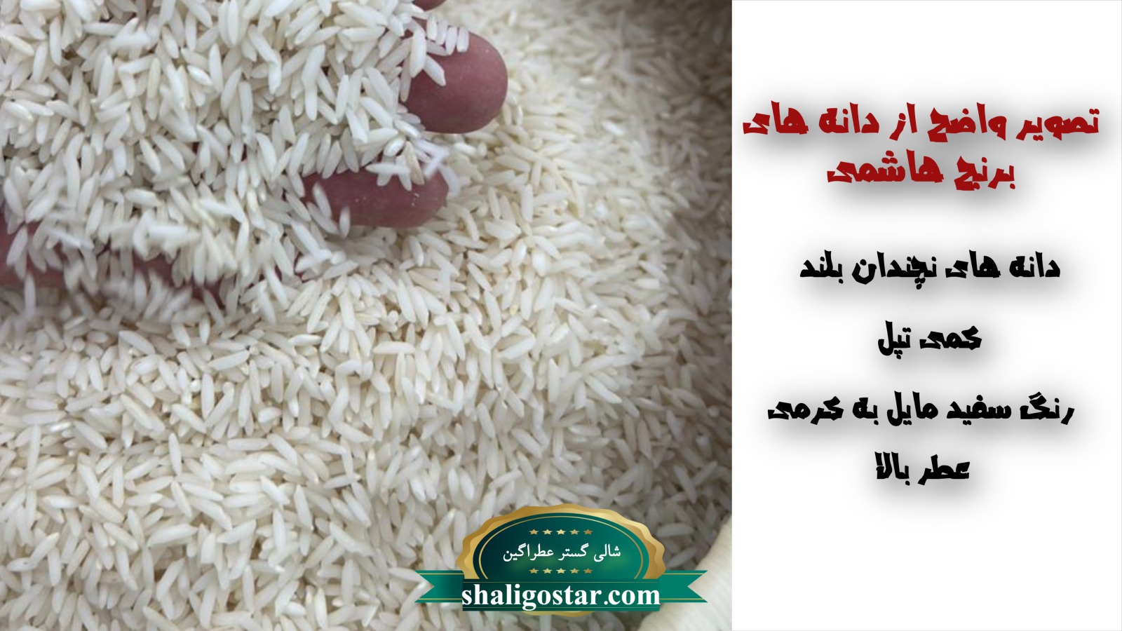 بهترین راه شناخت برنج هاشمی 