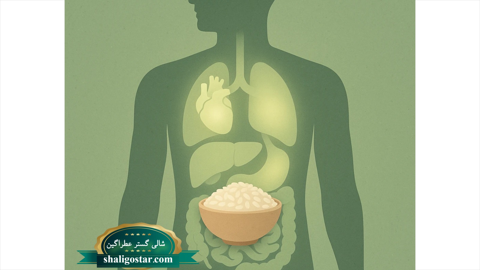 تأثیر برنج و سلامت گوارش در افراد مبتلا به IBS 18 برنج و سلامت بدن