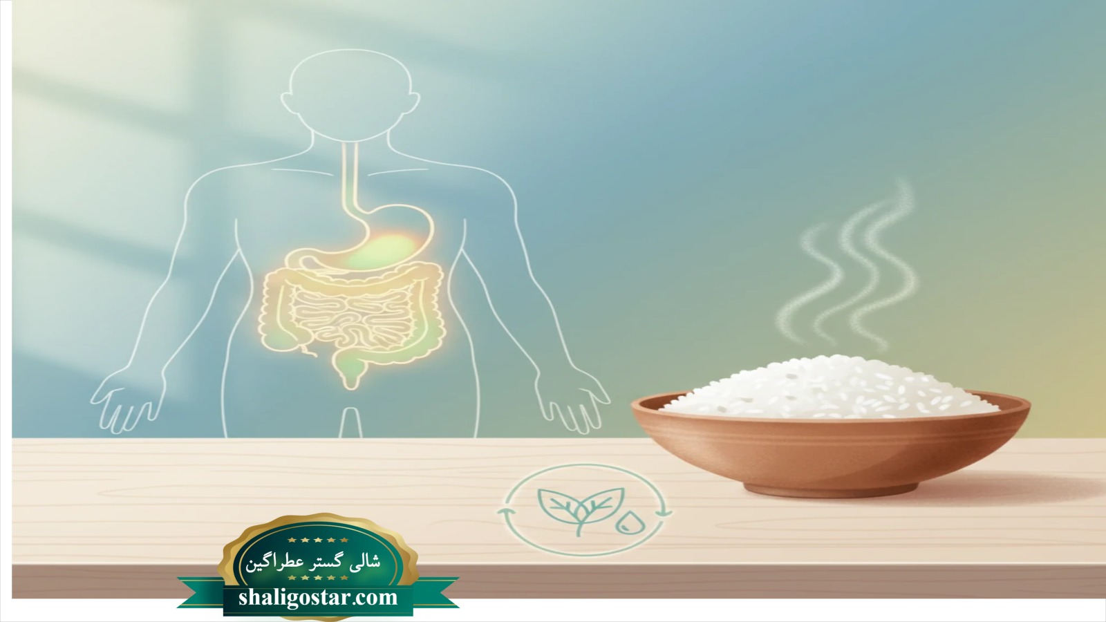 تاثیر برنج بر دستگاه گوارش انسان 9 دستگاه گوارش و برنج