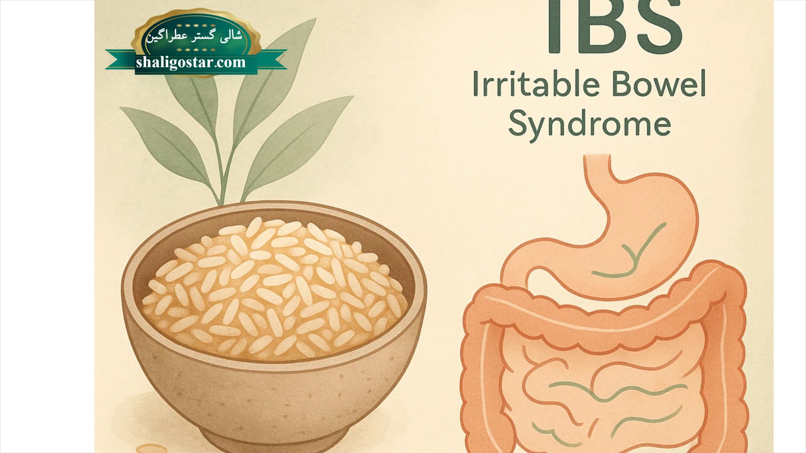 تأثیر برنج و سلامت گوارش در افراد مبتلا به IBS 17 تاثیر برنج بر سلامت گوارش