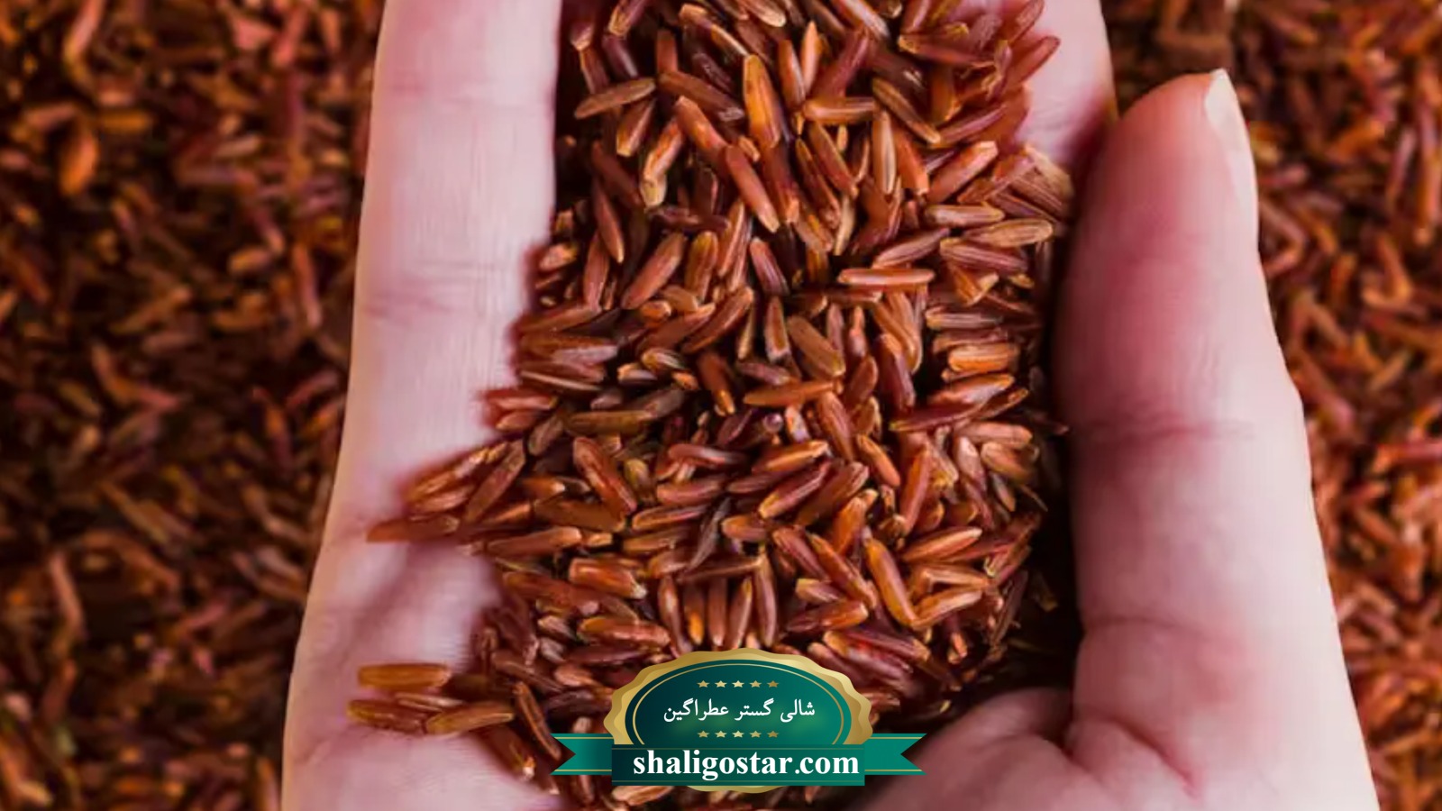 برنج قرمز چیست؟ و چرا قهرمان جدید سفره هاست؟ 5 برنج قرمز چیست؟