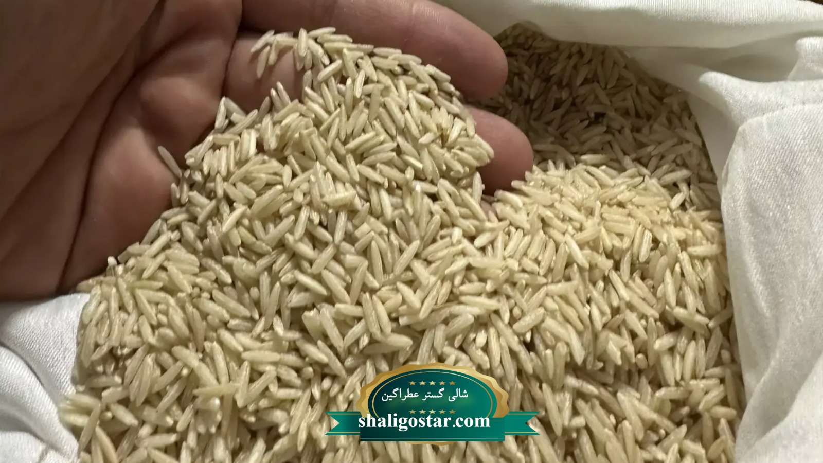 برنج قهوه ای برای لاغری 5 6 2
