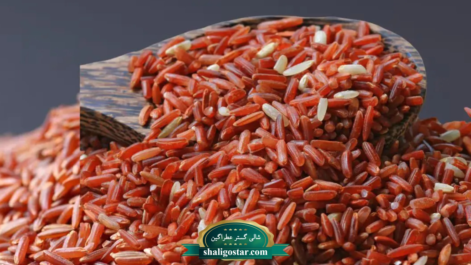 برنج قرمز چیست؟ و چرا قهرمان جدید سفره هاست؟ 4 خرید برنج قرمز