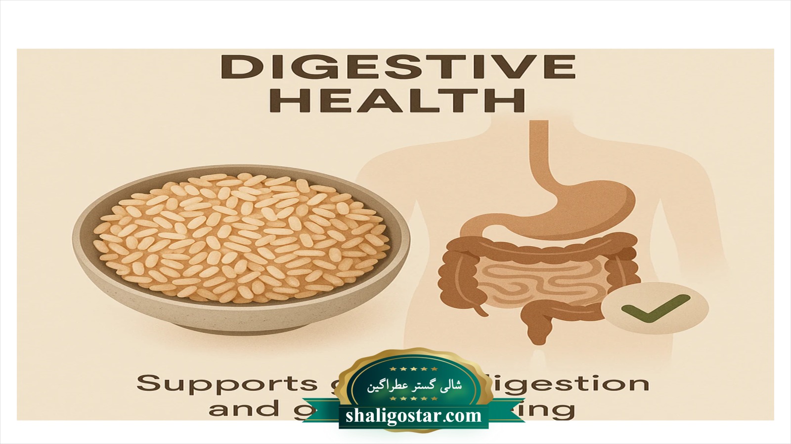 تاثیر برنج بر دستگاه گوارش انسان 2 تاثیر برنج بر دستگاه گوارش بدن