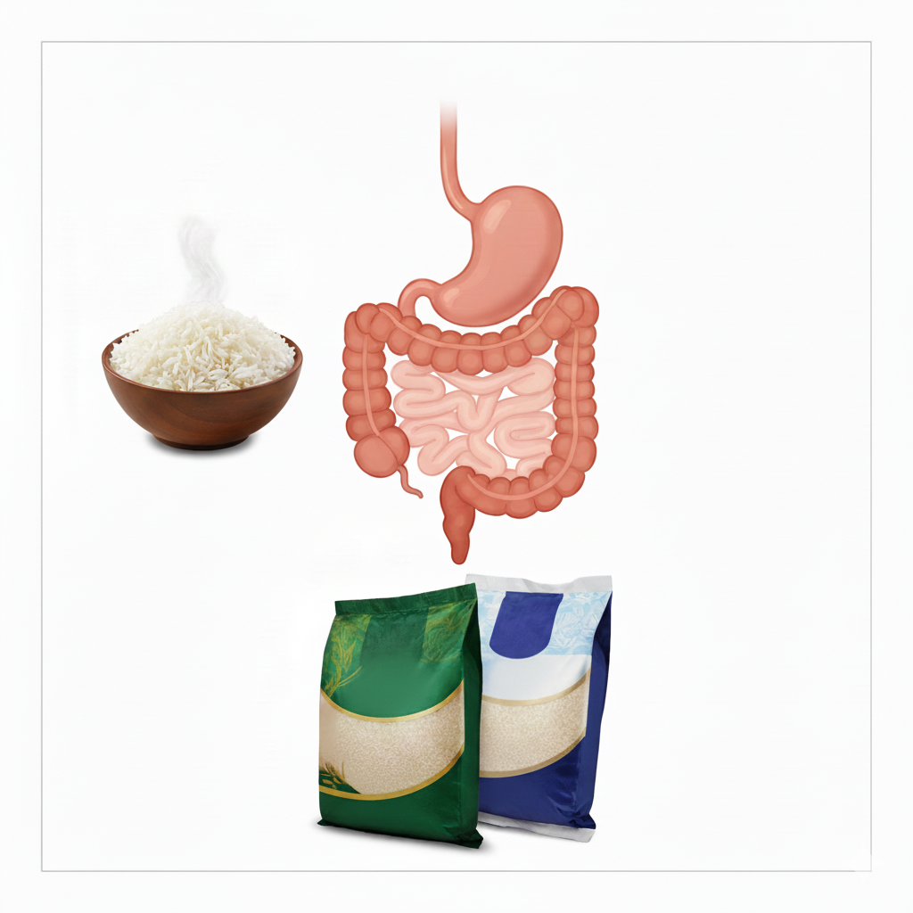تاثیر برنج بر دستگاه گوارش انسان 3 برنج و گوارش