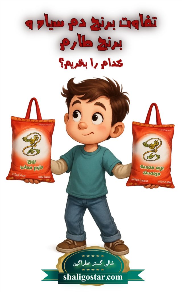 بین برنج دم سیاه و طارم کدام را بخریم؟