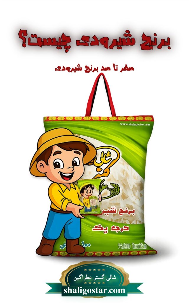 domingo 1762200186247