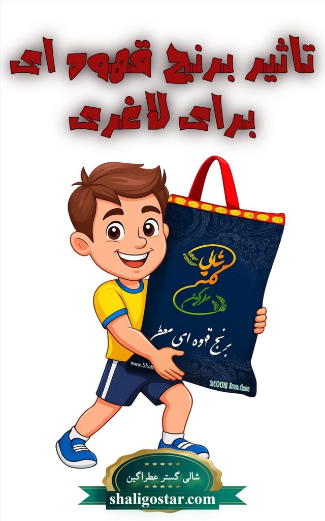 domingo 1762252670335