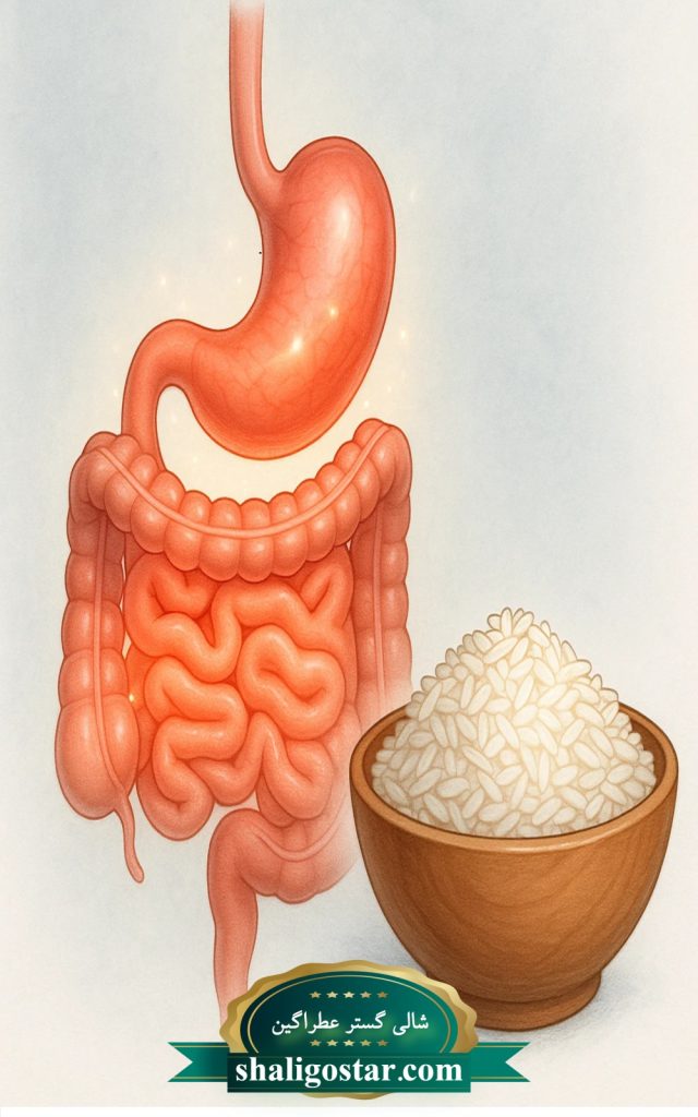 تاثیر برنج بر دستگاه گوارش انسان