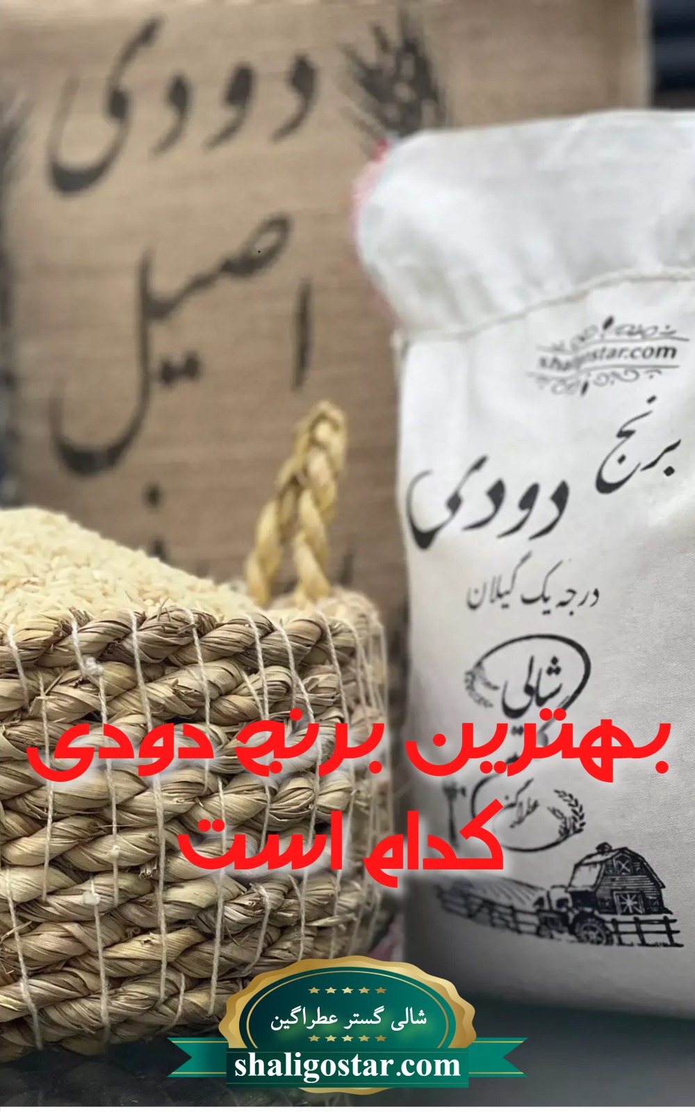 بهترین برنج دودی ایرانی کدام است؟