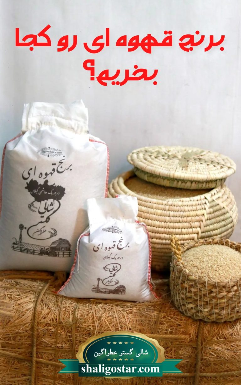 برنج قهوه ای کجا بخریم