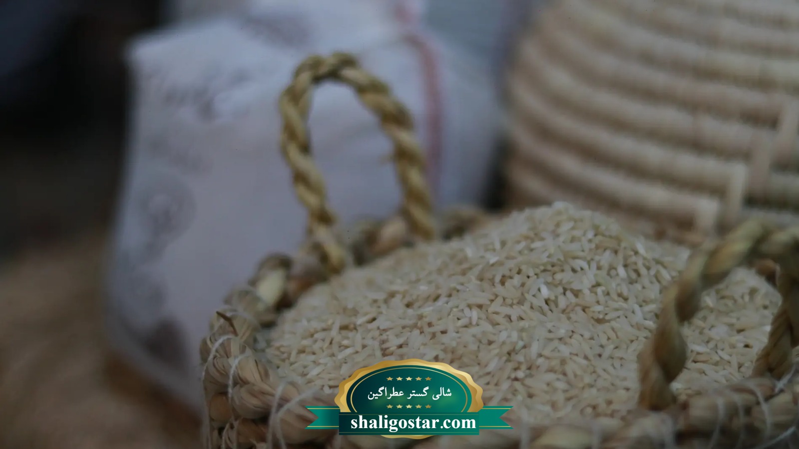 برنج قهوه ای را ازکجا بخریم؟ 11 برنج قهوه ای شالی گستر عطراگین