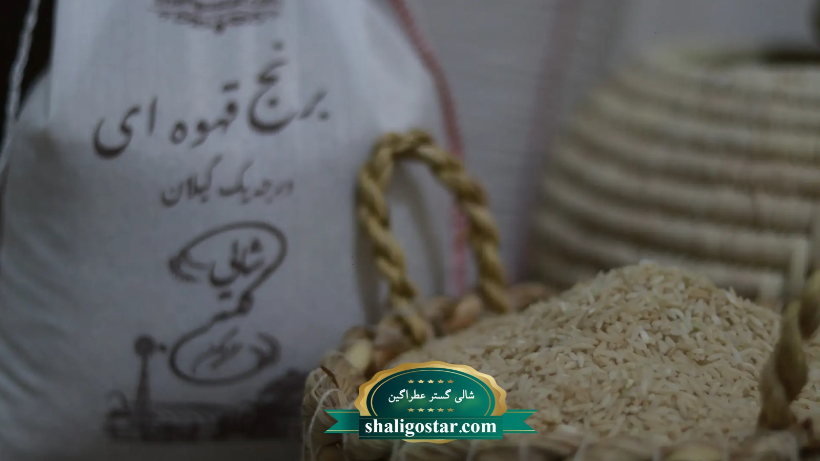 برنج قهوه ای را ازکجا بخریم؟ 12 مراکز خرید برنج قهوه ای اصل