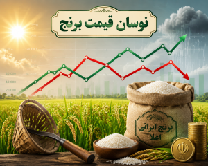 چرا قیمت برنج ایرانی هر سال تغییر می‌کند؟