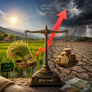 چرا قیمت برنج ایرانی هر سال تغییر می‌کند؟