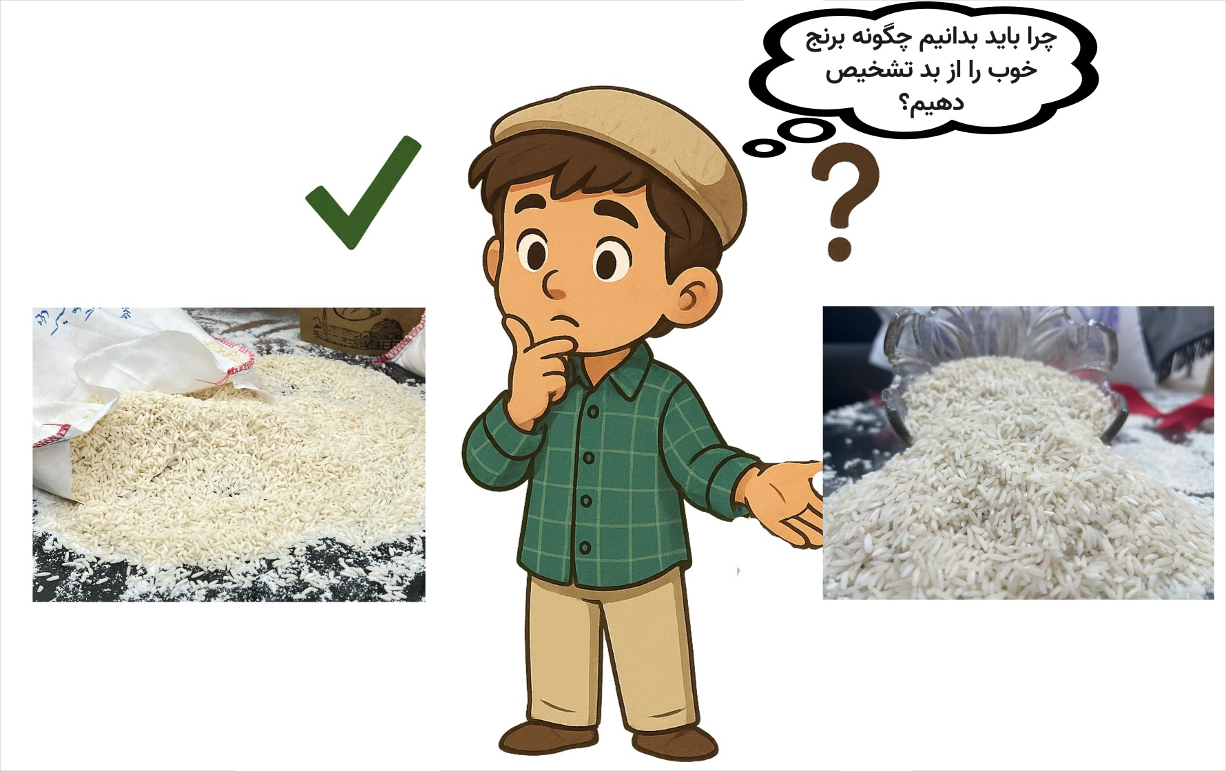 چگونه برنج خوب را از بد تشخیص دهیم؟ 