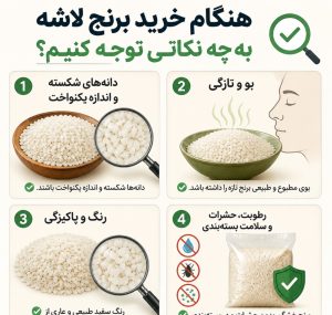 بهترین غذاهایی که با برنج لاشه پخت می‌شود 