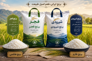 بهترین برنج برای مصرف روزانه خانواده l راهنمای جامع 1405 3 بهترین برنج برای مصرف روزانه